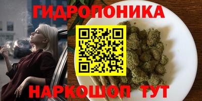 МДПВ Будённовск